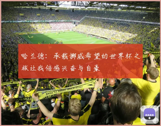 哈兰德：承载挪威希望的世界杯之旅让我倍感兴奋与自豪