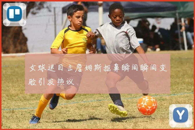 女球迷目击詹姆斯抠鼻瞬间瞬间变脸引发热议